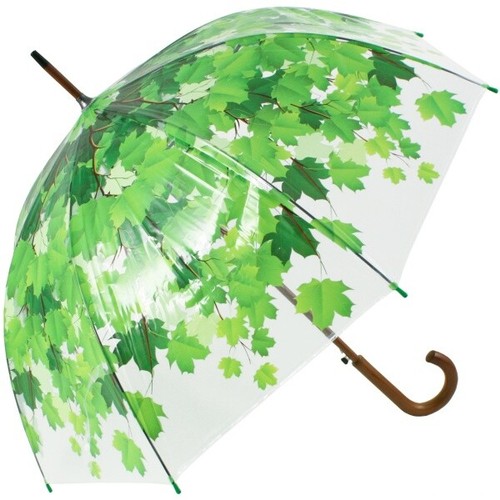 Leaf canopy dome clear - canopy,