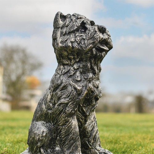 Yorkshire terrier dog - yorkshire,
