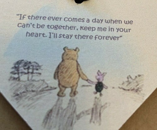 Winnie the pooh comes day - pooh,