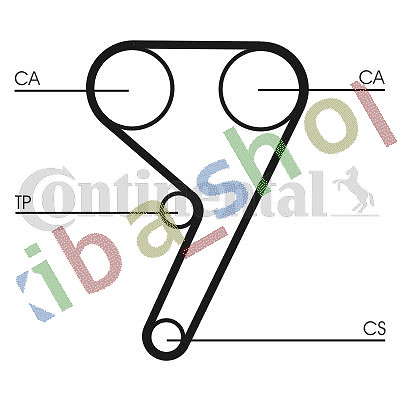 Timing set belt pulley - pulley, +