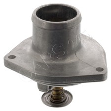 Coolant Thermostat SWAG Fits