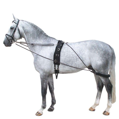 Horse lunge training system - training,