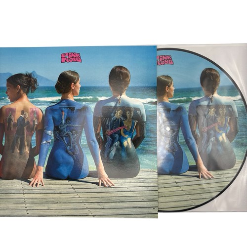Pink floyd limited edition - floyd, 12"