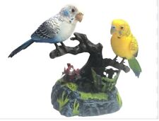 Beautiful Bird Pet Stimulation