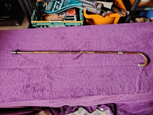 Antique walking stick - antique,