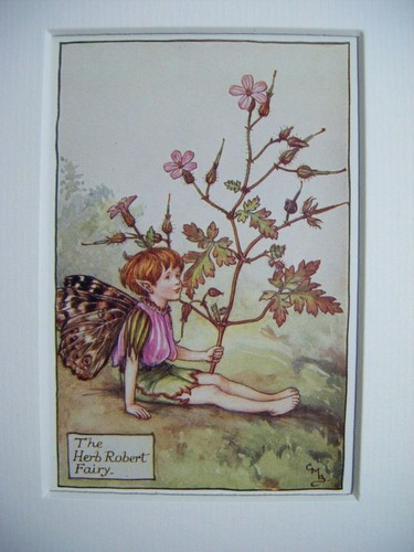 Vintage flower fairies - fairies, print