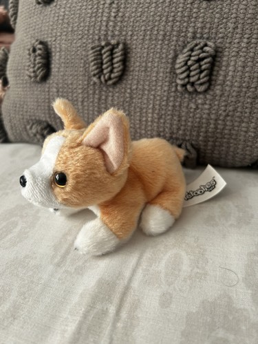 Russ petooties pets corgi - corgi, dog