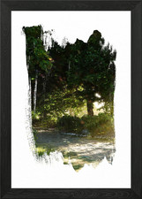 Sunlit Forest Path with