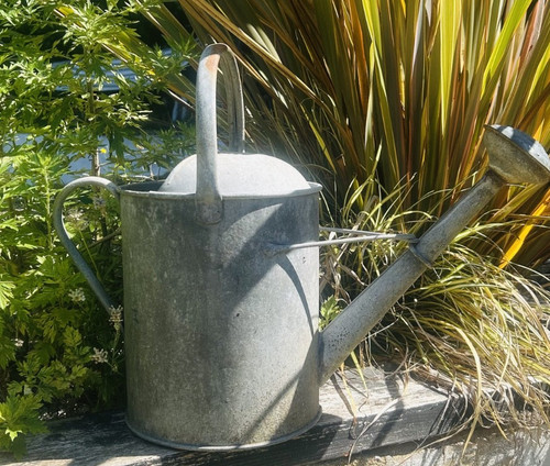 Vintage rose galvanised - rose,
