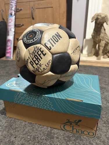 Tottenham hotspur football - tottenham,