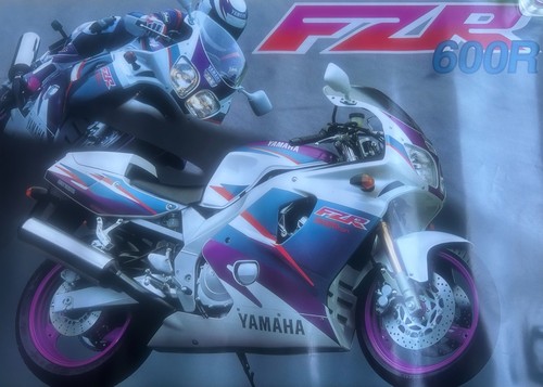Yamaha fzr600r genuine - yamaha,