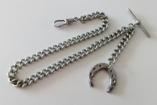 Antique albo silver albert - antique,