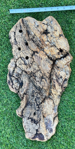 Large natural driftwood - large,
