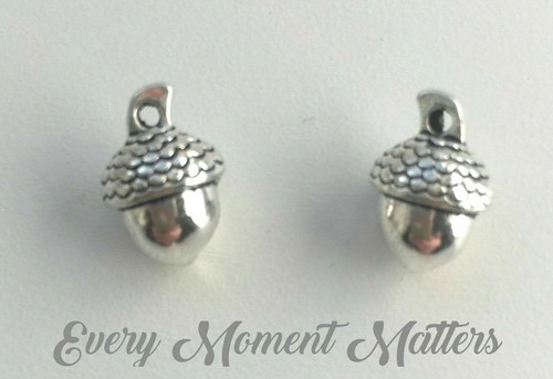 Tibetan silver acorn nut - silver,