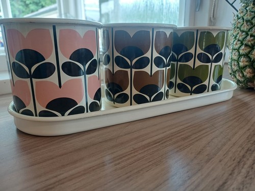 Orla kiely climbing rose - orla,