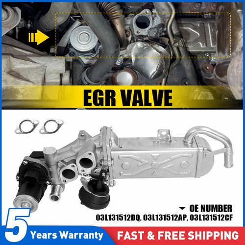 Egr valve cooler for - egr,