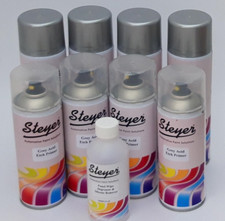 Car Alloy Wheel Silver Spray