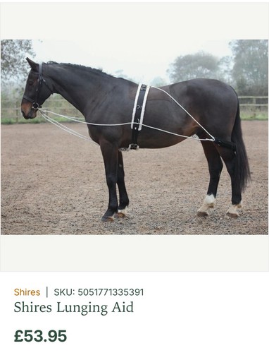 Shires lunging pessoa type - lunging,