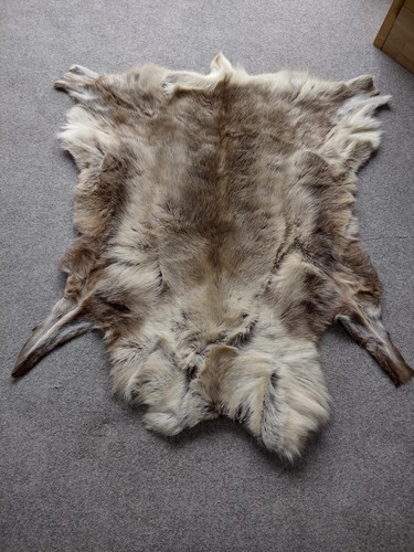 Reindeer hide rug wall - reindeer,