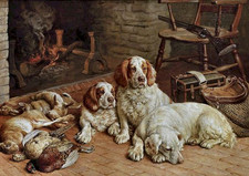 CLUMBER SPANIEL DOG GREETING