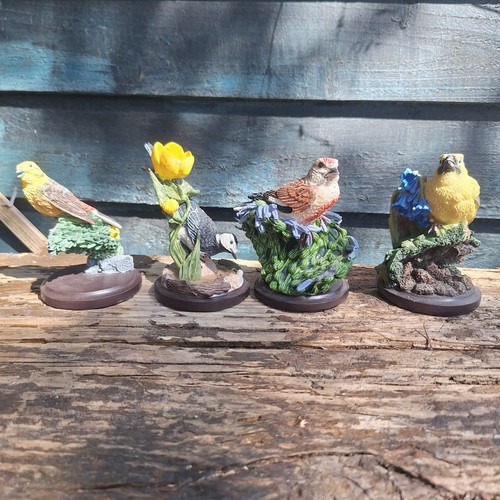 The country bird collection - the,