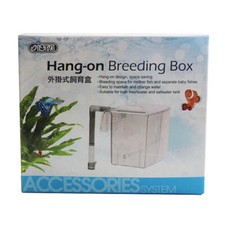 Ista hang breeding - on,