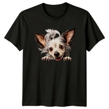 Cute Chinese Crested Dog Peek