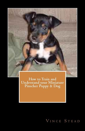 How train and - to, understand