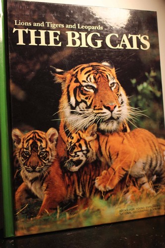 The big cats lions tigers - the,