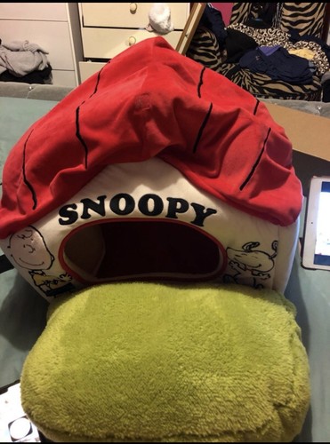 Peanuts snoopy red - peanuts,