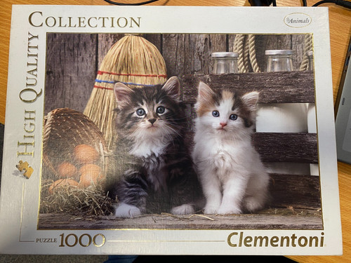 Lovely kittens 1000 piece - 'lovely,