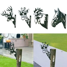 Garden Decor Metal Peeping