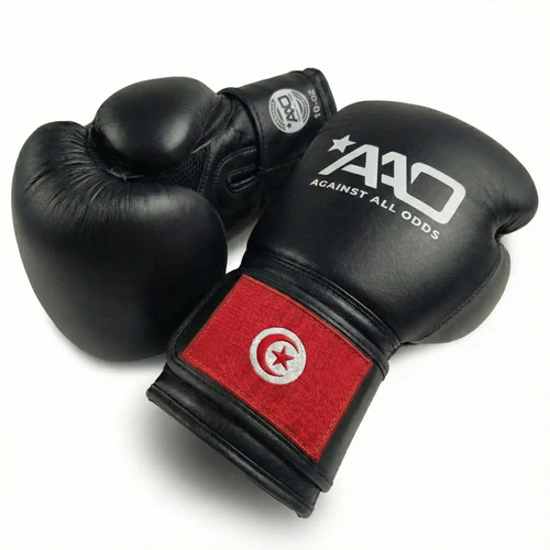 Tunisia boxing gloves aao - gloves,