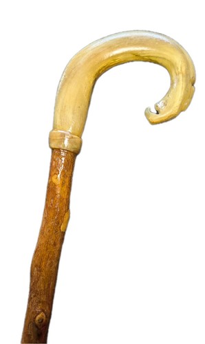 Scottish rams horn crook - scottish,
