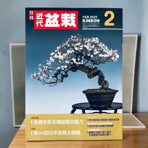 Monthly modern bonsai - bonsai, feb