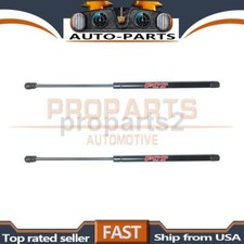 Focus Auto Parts 2X Rear Hatch