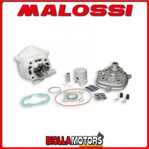318559 cylinder malossi - 318559,