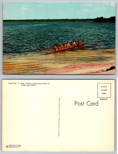 1969 sculling little lake - 1969,