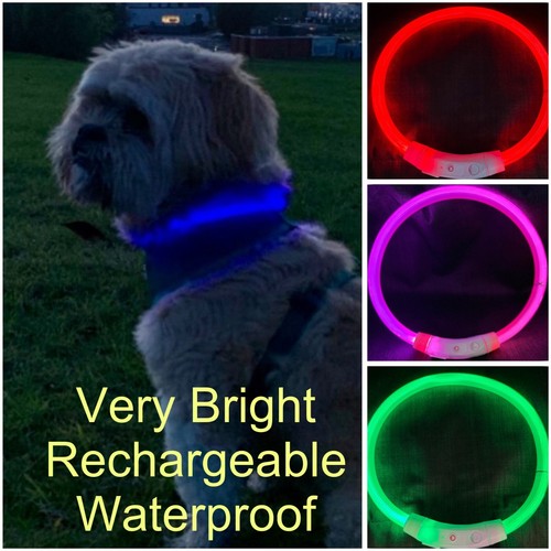 Light dog collar - light, up