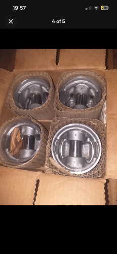 Nos hepolite pistons - nos,