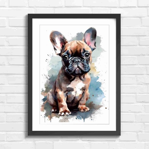 Cute french bulldog - cute,