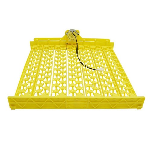For hatching goose birds - for,