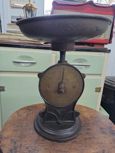 Salter family scales - family,