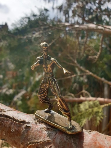 Master bruce lee small - lee, brass