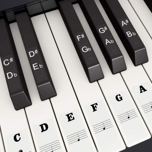 Beginner friendly key piano - beginner-friendly, 88-key