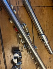 Parrot Lewington Model 82