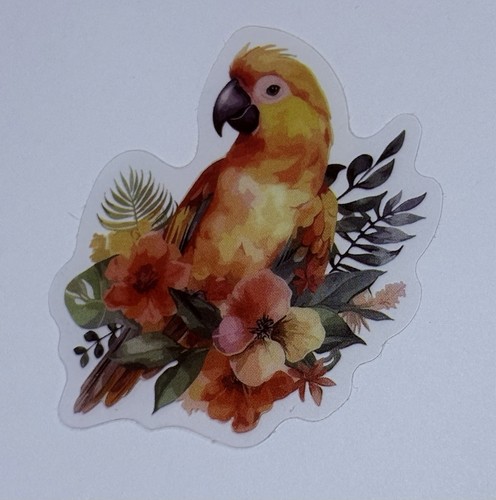 Sun conure parrot sticker - conure,