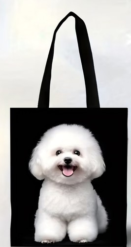 Bichon frise dog - bichon,
