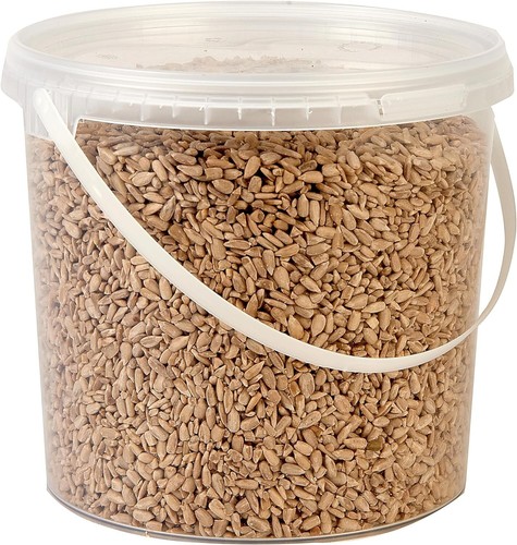 Premium sunflower hearts - sunflower, wild