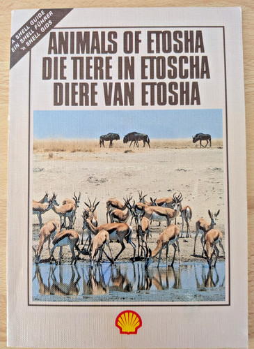Animals etosha a - animals,